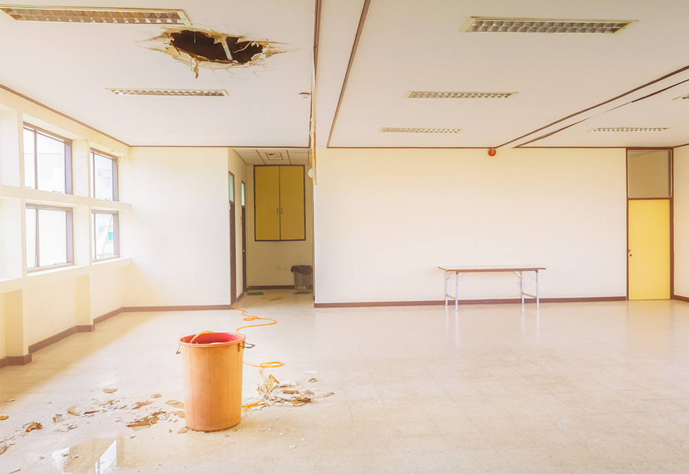 Urgent-Capital-Support-Funding-2